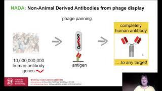 Animal-free antibodies against diseases: Rapid response to fight Covid-19