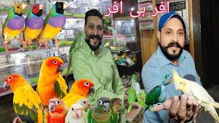 Rana Bhai Laye Pakistani ki lia Sab sy Sasti Deal|Offer Hi Offer| Birds pr Deal Lag gai#ranapets