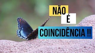 CONFIE no UNIVERSO ! Um relato que vai te ajudar ! Teste da  BORBOLETA AZUL  #leidaatração