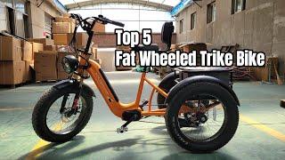 Top 5 Best Fat Wheeled Trike Bike Under $1000 -No.1 | Adult Tricycles with Large Basket for Riding