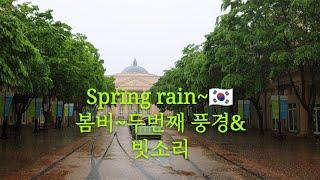 Spring rain~봄비~두번째 풍경