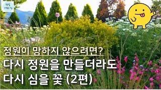 정원꽃 추천/정원을 풍성하게 유지하는 비결/일년초 여름꽃 이용법/정원가꾸기