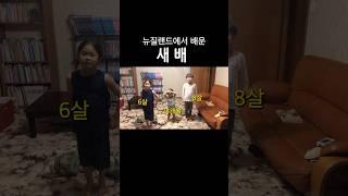 '세배‘ 못 가르친 부모 잘못일단 새배부터 받으세요 | 뉴질랜드 가족일상