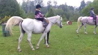 Horseback Riding at Magik Morn