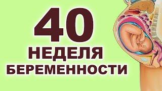 Что происходит с ребенком и мамой на 40 неделе беременности? 9 месяц беременности. Третий триместр.