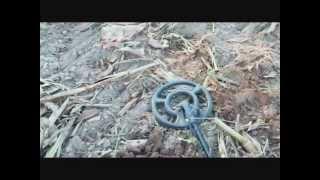 metal detecting new yorks colonial past