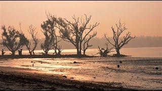 The Pull of Water: Power, Place, and Religion in the Sundarbans