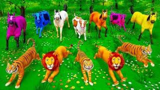 Farm vs Wild! Heroic Colorful Animals Defend Their Land | Action-Packed Adventure | Animal Rescue
