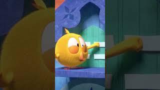 Hello there #chicky | Chicky Cartoon in English for Kids