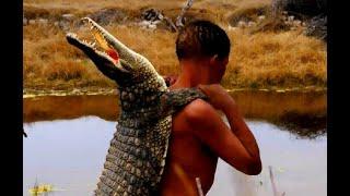 Spear Hunting African Crocodile Cooking - Hunt Catch Cook