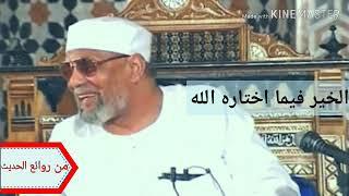 الخير فيما أختاره الله | الشيخ محمد متولي الشعراوي