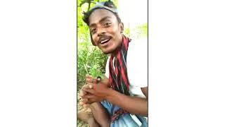 750 funny video Bangla