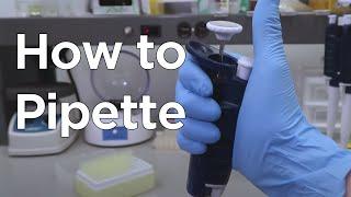 How to Micropipette | miniPCR bio™