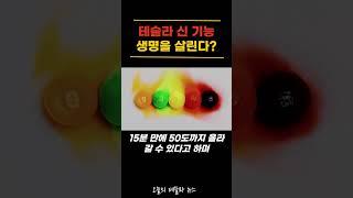 테슬라 새로운 신 기능, 이젠 아이의 생명을 살린다?