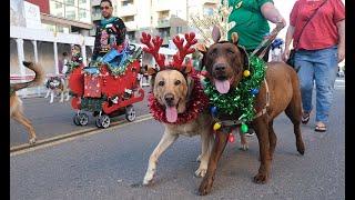 Gaslamp Holiday Pet Parade 2019