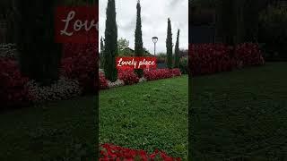 Do you want to stay like this place?#shortvideo#garden view#moreviewers #subscribers follow for more