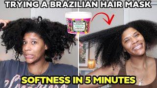 Lola Cosmetics on my Dry Natural Hair | Brazilian Curly Hair Mask