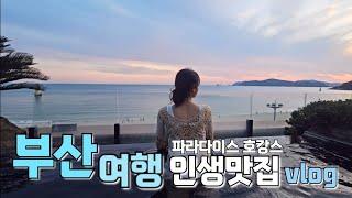 [부산 Vlog] 파라다이스 호텔 객실 및 수영장 정보‍️, 부산 오면 꼭 가야 할 인생 맛집 | 1박2일 꽉꽉 채운 일정 공유️