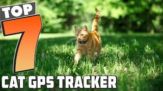 Top 7 Cat GPS Trackers to Keep Your Pet Safe This Year