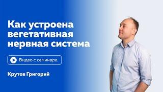 "Как устроена вегетативная нервная система" Григорий Крутов