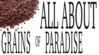 Grains of Paradise - Spice Profile by Spiceologist.com