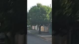 O encontro de BY BUS