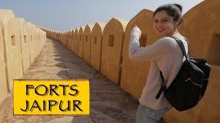 Forts- Amber,Nahargarh & Jaigarh || Jaipur