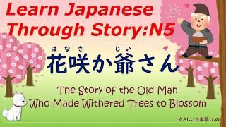 Learn Japanese Through Story (N5)：花咲か爺さん/The Story of the Old Man Who Made Withered Trees to Blossom