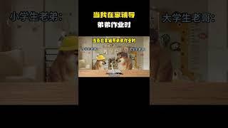 当我在家辅导弟弟作业时 #cheems小剧场 #cheems #搞笑