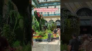 This lush courtyard garden is hidden inside the Bellagio hotel and casino in Las Vegas