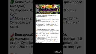1 подкормка овощных культур.