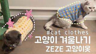 고양이 옷 리뷰! 고양이에게 옷 입히는건 집사의 욕심 cat clothes