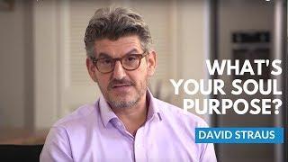 What's Your Soul Purpose? | David Straus