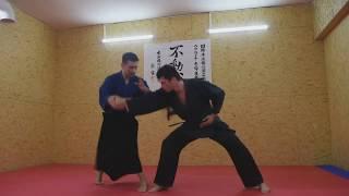 [KIHON OKU NO KATA: 1.Gyaku katate dori - Kote otoshi/ Motoha Yoshin Ryu Jujutsu]