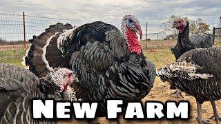 Huge Farm Update + Big Changes Coming Soon…