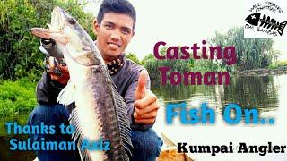 Casting Toman Sambas @Kumpai Angler