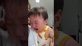 (D+330)암소쏘리 음머~ #10개월아기 #용띠아기 #육아일상 #육아기록