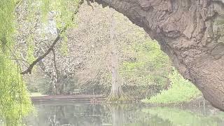 Take Two Mindful Minutes 11 May 2021