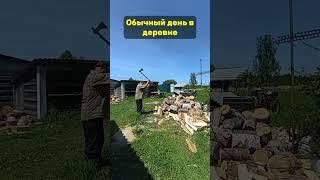 Обычный день в деревне! А что успеваете сделать вы ? #жизньвдеревне #деньвдеревне #деревня #работа
