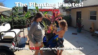 Planting FREE Plants we find Weekly! | The Planting Pirates Episode #44