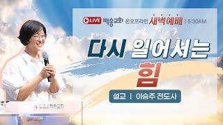 백송교회 실시간 온라인 목요 새벽 예배 [다시 일어서는 힘 - 이승주 전도사 ] 2025.6.19