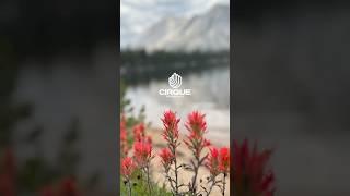 Young Lakes Trail Running | Tuolumne Meadows, Yosemite