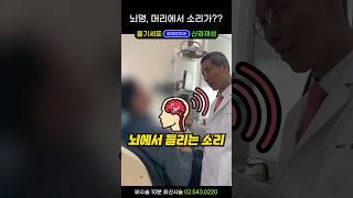 뇌명증(이명증), 머리에서 삐소리, 웅웅소리 나는 이유? 진짜 원인은 머리가 아니다 #뇌명증치료 #이명치료