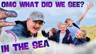 OMG WHAT DID WE SEE IN THE SEA? | FOGGY FRIDAY Big Family Busy Day CATCH UP & DITL