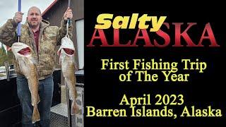 First Fishing Trip of 2023 (April): Alaska's Barren Islands Early in the Fishing Season