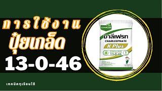 ปุ๋ยเกล็ด​13​- 0​ -​46​ ทำอะไรได้บ้าง?