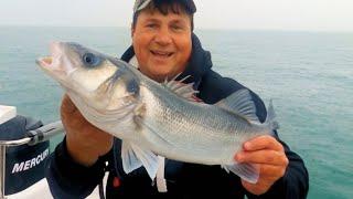 Live Baiting For Bass At Beachy Head Ledges In The Rain