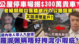 公屋停車場揭$300萬天價車？疑內地人走後門入啟德羅淑佩稱勿拘泥？4-3-2025