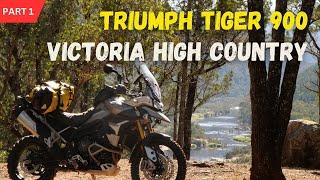 Triumph Tiger 900 in the Victorian High Country - Part 1