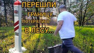 #vlog ПЕРЕШЛИ ГРАНИЦУ//ПОТЕРЯЛИСЬ В ЛЕСУ // ГОТОВИМ ГРИБЫ// ЖИЗНЬ В СВОЕМ ДОМЕ В СЕРБИИ. №52